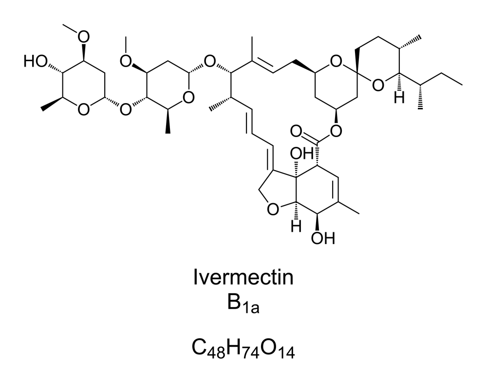 Should You Be Concerned About Those Who Promote Ivermectin as a Cure for All Health Problems?